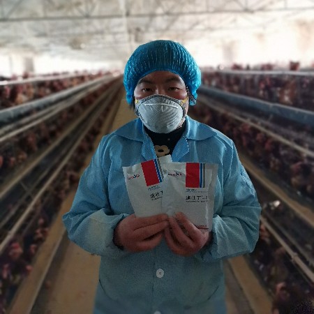 來吧，展示，好評如潮的速壯丁