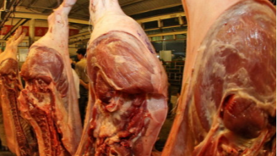 邦森分享豬價“變臉”，再度漲紅！新一輪行情上漲要來到？