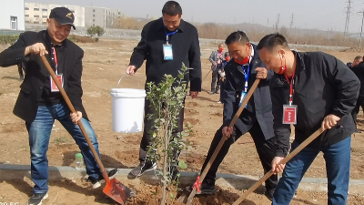 植樹節(jié)，播下希望的種子-上海邦森